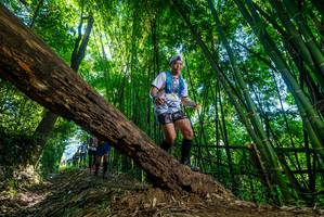 BIB: 
                            <button type="button" onclick="openModal(19046625)" class="btn btn-primary btn-sm float-right btn-popup" data-toggle="modal" data-target=".modal-high-quality">
                        <i class="fas fa-shopping-cart"></i> Add to Cart
                    </button>
                                            <button type="button" onclick="isThisMe(19046625, true)" class="btn btn-success btn-sm float-right btn-popup btn-isme hidden" data-toggle="tooltip" data-placement="bottom" title="นี่คือรูปของคุณใช่ไหม คลิกที่นี่เพื่อเอาเข้าอัลบั้ม">
                        <i class="fas fa-plus"></i> Add to album
                    </button>
                    <button type="button" onclick="isThisMe(19046625, false)" class="btn btn-warning btn-sm float-right btn-popup btn-isnotme hidden">
                        <i class="fas fa-ban"></i> Remove from album
                    </button>