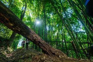 BIB: 
                            <button type="button" onclick="openModal(19054875)" class="btn btn-primary btn-sm float-right btn-popup" data-toggle="modal" data-target=".modal-high-quality">
                        <i class="fas fa-shopping-cart"></i> Add to Cart
                    </button>
                                            <button type="button" onclick="isThisMe(19054875, true)" class="btn btn-success btn-sm float-right btn-popup btn-isme hidden" data-toggle="tooltip" data-placement="bottom" title="นี่คือรูปของคุณใช่ไหม คลิกที่นี่เพื่อเอาเข้าอัลบั้ม">
                        <i class="fas fa-plus"></i> Add to album
                    </button>
                    <button type="button" onclick="isThisMe(19054875, false)" class="btn btn-warning btn-sm float-right btn-popup btn-isnotme hidden">
                        <i class="fas fa-ban"></i> Remove from album
                    </button>