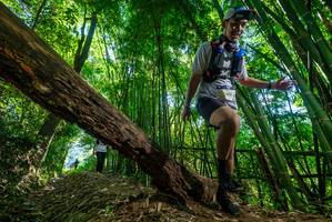 BIB: 974
                            <button type="button" onclick="openModal(19068798)" class="btn btn-primary btn-sm float-right btn-popup" data-toggle="modal" data-target=".modal-high-quality">
                        <i class="fas fa-shopping-cart"></i> Add to Cart
                    </button>
                                            <button type="button" onclick="isThisMe(19068798, true)" class="btn btn-success btn-sm float-right btn-popup btn-isme hidden" data-toggle="tooltip" data-placement="bottom" title="นี่คือรูปของคุณใช่ไหม คลิกที่นี่เพื่อเอาเข้าอัลบั้ม">
                        <i class="fas fa-plus"></i> Add to album
                    </button>
                    <button type="button" onclick="isThisMe(19068798, false)" class="btn btn-warning btn-sm float-right btn-popup btn-isnotme hidden">
                        <i class="fas fa-ban"></i> Remove from album
                    </button>