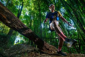 BIB: 
                            <button type="button" onclick="openModal(18999333)" class="btn btn-primary btn-sm float-right btn-popup" data-toggle="modal" data-target=".modal-high-quality">
                        <i class="fas fa-shopping-cart"></i> Add to Cart
                    </button>
                                            <button type="button" onclick="isThisMe(18999333, true)" class="btn btn-success btn-sm float-right btn-popup btn-isme hidden" data-toggle="tooltip" data-placement="bottom" title="นี่คือรูปของคุณใช่ไหม คลิกที่นี่เพื่อเอาเข้าอัลบั้ม">
                        <i class="fas fa-plus"></i> Add to album
                    </button>
                    <button type="button" onclick="isThisMe(18999333, false)" class="btn btn-warning btn-sm float-right btn-popup btn-isnotme hidden">
                        <i class="fas fa-ban"></i> Remove from album
                    </button>