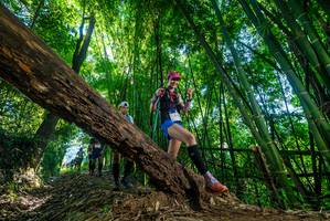 BIB: 
                            <button type="button" onclick="openModal(19046617)" class="btn btn-primary btn-sm float-right btn-popup" data-toggle="modal" data-target=".modal-high-quality">
                        <i class="fas fa-shopping-cart"></i> Add to Cart
                    </button>
                                            <button type="button" onclick="isThisMe(19046617, true)" class="btn btn-success btn-sm float-right btn-popup btn-isme hidden" data-toggle="tooltip" data-placement="bottom" title="นี่คือรูปของคุณใช่ไหม คลิกที่นี่เพื่อเอาเข้าอัลบั้ม">
                        <i class="fas fa-plus"></i> Add to album
                    </button>
                    <button type="button" onclick="isThisMe(19046617, false)" class="btn btn-warning btn-sm float-right btn-popup btn-isnotme hidden">
                        <i class="fas fa-ban"></i> Remove from album
                    </button>