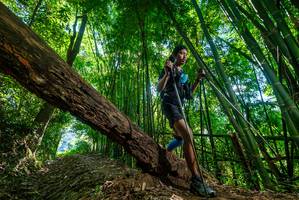 BIB: 
                            <button type="button" onclick="openModal(19068631)" class="btn btn-primary btn-sm float-right btn-popup" data-toggle="modal" data-target=".modal-high-quality">
                        <i class="fas fa-shopping-cart"></i> Add to Cart
                    </button>
                                            <button type="button" onclick="isThisMe(19068631, true)" class="btn btn-success btn-sm float-right btn-popup btn-isme hidden" data-toggle="tooltip" data-placement="bottom" title="นี่คือรูปของคุณใช่ไหม คลิกที่นี่เพื่อเอาเข้าอัลบั้ม">
                        <i class="fas fa-plus"></i> Add to album
                    </button>
                    <button type="button" onclick="isThisMe(19068631, false)" class="btn btn-warning btn-sm float-right btn-popup btn-isnotme hidden">
                        <i class="fas fa-ban"></i> Remove from album
                    </button>