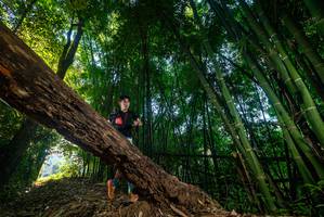 BIB: 
                            <button type="button" onclick="openModal(18987207)" class="btn btn-primary btn-sm float-right btn-popup" data-toggle="modal" data-target=".modal-high-quality">
                        <i class="fas fa-shopping-cart"></i> Add to Cart
                    </button>
                                            <button type="button" onclick="isThisMe(18987207, true)" class="btn btn-success btn-sm float-right btn-popup btn-isme hidden" data-toggle="tooltip" data-placement="bottom" title="นี่คือรูปของคุณใช่ไหม คลิกที่นี่เพื่อเอาเข้าอัลบั้ม">
                        <i class="fas fa-plus"></i> Add to album
                    </button>
                    <button type="button" onclick="isThisMe(18987207, false)" class="btn btn-warning btn-sm float-right btn-popup btn-isnotme hidden">
                        <i class="fas fa-ban"></i> Remove from album
                    </button>