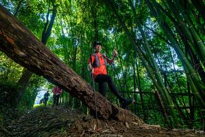 BIB: 
                            <button type="button" onclick="openModal(18998444)" class="btn btn-primary btn-sm float-right btn-popup" data-toggle="modal" data-target=".modal-high-quality">
                        <i class="fas fa-shopping-cart"></i> Add to Cart
                    </button>
                                            <button type="button" onclick="isThisMe(18998444, true)" class="btn btn-success btn-sm float-right btn-popup btn-isme hidden" data-toggle="tooltip" data-placement="bottom" title="นี่คือรูปของคุณใช่ไหม คลิกที่นี่เพื่อเอาเข้าอัลบั้ม">
                        <i class="fas fa-plus"></i> Add to album
                    </button>
                    <button type="button" onclick="isThisMe(18998444, false)" class="btn btn-warning btn-sm float-right btn-popup btn-isnotme hidden">
                        <i class="fas fa-ban"></i> Remove from album
                    </button>