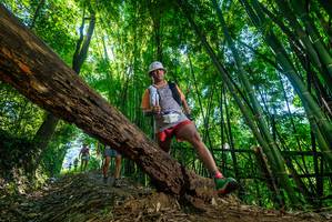 BIB: 200
                            <button type="button" onclick="openModal(19055732)" class="btn btn-primary btn-sm float-right btn-popup" data-toggle="modal" data-target=".modal-high-quality">
                        <i class="fas fa-shopping-cart"></i> Add to Cart
                    </button>
                                            <button type="button" onclick="isThisMe(19055732, true)" class="btn btn-success btn-sm float-right btn-popup btn-isme hidden" data-toggle="tooltip" data-placement="bottom" title="นี่คือรูปของคุณใช่ไหม คลิกที่นี่เพื่อเอาเข้าอัลบั้ม">
                        <i class="fas fa-plus"></i> Add to album
                    </button>
                    <button type="button" onclick="isThisMe(19055732, false)" class="btn btn-warning btn-sm float-right btn-popup btn-isnotme hidden">
                        <i class="fas fa-ban"></i> Remove from album
                    </button>