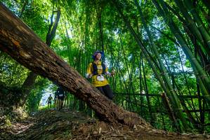 BIB: 
                            <button type="button" onclick="openModal(19047838)" class="btn btn-primary btn-sm float-right btn-popup" data-toggle="modal" data-target=".modal-high-quality">
                        <i class="fas fa-shopping-cart"></i> Add to Cart
                    </button>
                                            <button type="button" onclick="isThisMe(19047838, true)" class="btn btn-success btn-sm float-right btn-popup btn-isme hidden" data-toggle="tooltip" data-placement="bottom" title="นี่คือรูปของคุณใช่ไหม คลิกที่นี่เพื่อเอาเข้าอัลบั้ม">
                        <i class="fas fa-plus"></i> Add to album
                    </button>
                    <button type="button" onclick="isThisMe(19047838, false)" class="btn btn-warning btn-sm float-right btn-popup btn-isnotme hidden">
                        <i class="fas fa-ban"></i> Remove from album
                    </button>