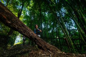 BIB: 
                            <button type="button" onclick="openModal(18989931)" class="btn btn-primary btn-sm float-right btn-popup" data-toggle="modal" data-target=".modal-high-quality">
                        <i class="fas fa-shopping-cart"></i> Add to Cart
                    </button>
                                            <button type="button" onclick="isThisMe(18989931, true)" class="btn btn-success btn-sm float-right btn-popup btn-isme hidden" data-toggle="tooltip" data-placement="bottom" title="นี่คือรูปของคุณใช่ไหม คลิกที่นี่เพื่อเอาเข้าอัลบั้ม">
                        <i class="fas fa-plus"></i> Add to album
                    </button>
                    <button type="button" onclick="isThisMe(18989931, false)" class="btn btn-warning btn-sm float-right btn-popup btn-isnotme hidden">
                        <i class="fas fa-ban"></i> Remove from album
                    </button>