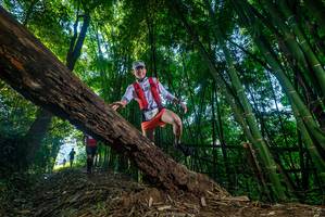 BIB: 
                            <button type="button" onclick="openModal(18995183)" class="btn btn-primary btn-sm float-right btn-popup" data-toggle="modal" data-target=".modal-high-quality">
                        <i class="fas fa-shopping-cart"></i> Add to Cart
                    </button>
                                            <button type="button" onclick="isThisMe(18995183, true)" class="btn btn-success btn-sm float-right btn-popup btn-isme hidden" data-toggle="tooltip" data-placement="bottom" title="นี่คือรูปของคุณใช่ไหม คลิกที่นี่เพื่อเอาเข้าอัลบั้ม">
                        <i class="fas fa-plus"></i> Add to album
                    </button>
                    <button type="button" onclick="isThisMe(18995183, false)" class="btn btn-warning btn-sm float-right btn-popup btn-isnotme hidden">
                        <i class="fas fa-ban"></i> Remove from album
                    </button>