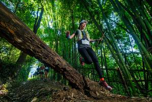 BIB: 
                            <button type="button" onclick="openModal(18997692)" class="btn btn-primary btn-sm float-right btn-popup" data-toggle="modal" data-target=".modal-high-quality">
                        <i class="fas fa-shopping-cart"></i> Add to Cart
                    </button>
                                            <button type="button" onclick="isThisMe(18997692, true)" class="btn btn-success btn-sm float-right btn-popup btn-isme hidden" data-toggle="tooltip" data-placement="bottom" title="นี่คือรูปของคุณใช่ไหม คลิกที่นี่เพื่อเอาเข้าอัลบั้ม">
                        <i class="fas fa-plus"></i> Add to album
                    </button>
                    <button type="button" onclick="isThisMe(18997692, false)" class="btn btn-warning btn-sm float-right btn-popup btn-isnotme hidden">
                        <i class="fas fa-ban"></i> Remove from album
                    </button>