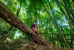 BIB: 
                            <button type="button" onclick="openModal(19069972)" class="btn btn-primary btn-sm float-right btn-popup" data-toggle="modal" data-target=".modal-high-quality">
                        <i class="fas fa-shopping-cart"></i> Add to Cart
                    </button>
                                            <button type="button" onclick="isThisMe(19069972, true)" class="btn btn-success btn-sm float-right btn-popup btn-isme hidden" data-toggle="tooltip" data-placement="bottom" title="นี่คือรูปของคุณใช่ไหม คลิกที่นี่เพื่อเอาเข้าอัลบั้ม">
                        <i class="fas fa-plus"></i> Add to album
                    </button>
                    <button type="button" onclick="isThisMe(19069972, false)" class="btn btn-warning btn-sm float-right btn-popup btn-isnotme hidden">
                        <i class="fas fa-ban"></i> Remove from album
                    </button>