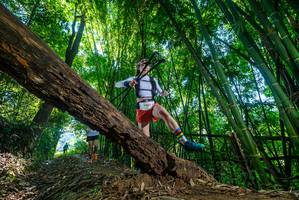 BIB: 3265
                            <button type="button" onclick="openModal(19000642)" class="btn btn-primary btn-sm float-right btn-popup" data-toggle="modal" data-target=".modal-high-quality">
                        <i class="fas fa-shopping-cart"></i> Add to Cart
                    </button>
                                            <button type="button" onclick="isThisMe(19000642, true)" class="btn btn-success btn-sm float-right btn-popup btn-isme hidden" data-toggle="tooltip" data-placement="bottom" title="นี่คือรูปของคุณใช่ไหม คลิกที่นี่เพื่อเอาเข้าอัลบั้ม">
                        <i class="fas fa-plus"></i> Add to album
                    </button>
                    <button type="button" onclick="isThisMe(19000642, false)" class="btn btn-warning btn-sm float-right btn-popup btn-isnotme hidden">
                        <i class="fas fa-ban"></i> Remove from album
                    </button>