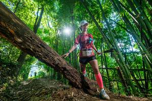 BIB: 3171
                            <button type="button" onclick="openModal(19063718)" class="btn btn-primary btn-sm float-right btn-popup" data-toggle="modal" data-target=".modal-high-quality">
                        <i class="fas fa-shopping-cart"></i> Add to Cart
                    </button>
                                            <button type="button" onclick="isThisMe(19063718, true)" class="btn btn-success btn-sm float-right btn-popup btn-isme hidden" data-toggle="tooltip" data-placement="bottom" title="นี่คือรูปของคุณใช่ไหม คลิกที่นี่เพื่อเอาเข้าอัลบั้ม">
                        <i class="fas fa-plus"></i> Add to album
                    </button>
                    <button type="button" onclick="isThisMe(19063718, false)" class="btn btn-warning btn-sm float-right btn-popup btn-isnotme hidden">
                        <i class="fas fa-ban"></i> Remove from album
                    </button>