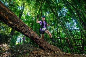 BIB: 
                            <button type="button" onclick="openModal(19001223)" class="btn btn-primary btn-sm float-right btn-popup" data-toggle="modal" data-target=".modal-high-quality">
                        <i class="fas fa-shopping-cart"></i> Add to Cart
                    </button>
                                            <button type="button" onclick="isThisMe(19001223, true)" class="btn btn-success btn-sm float-right btn-popup btn-isme hidden" data-toggle="tooltip" data-placement="bottom" title="นี่คือรูปของคุณใช่ไหม คลิกที่นี่เพื่อเอาเข้าอัลบั้ม">
                        <i class="fas fa-plus"></i> Add to album
                    </button>
                    <button type="button" onclick="isThisMe(19001223, false)" class="btn btn-warning btn-sm float-right btn-popup btn-isnotme hidden">
                        <i class="fas fa-ban"></i> Remove from album
                    </button>