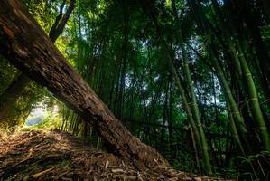 BIB: 
                            <button type="button" onclick="openModal(18986136)" class="btn btn-primary btn-sm float-right btn-popup" data-toggle="modal" data-target=".modal-high-quality">
                        <i class="fas fa-shopping-cart"></i> Add to Cart
                    </button>
                                            <button type="button" onclick="isThisMe(18986136, true)" class="btn btn-success btn-sm float-right btn-popup btn-isme hidden" data-toggle="tooltip" data-placement="bottom" title="นี่คือรูปของคุณใช่ไหม คลิกที่นี่เพื่อเอาเข้าอัลบั้ม">
                        <i class="fas fa-plus"></i> Add to album
                    </button>
                    <button type="button" onclick="isThisMe(18986136, false)" class="btn btn-warning btn-sm float-right btn-popup btn-isnotme hidden">
                        <i class="fas fa-ban"></i> Remove from album
                    </button>