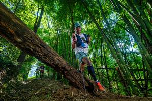 BIB: 
                            <button type="button" onclick="openModal(19064961)" class="btn btn-primary btn-sm float-right btn-popup" data-toggle="modal" data-target=".modal-high-quality">
                        <i class="fas fa-shopping-cart"></i> Add to Cart
                    </button>
                                            <button type="button" onclick="isThisMe(19064961, true)" class="btn btn-success btn-sm float-right btn-popup btn-isme hidden" data-toggle="tooltip" data-placement="bottom" title="นี่คือรูปของคุณใช่ไหม คลิกที่นี่เพื่อเอาเข้าอัลบั้ม">
                        <i class="fas fa-plus"></i> Add to album
                    </button>
                    <button type="button" onclick="isThisMe(19064961, false)" class="btn btn-warning btn-sm float-right btn-popup btn-isnotme hidden">
                        <i class="fas fa-ban"></i> Remove from album
                    </button>