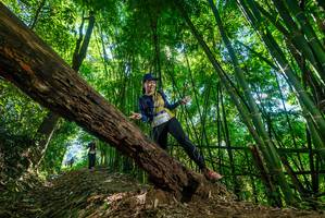 BIB: 
                            <button type="button" onclick="openModal(19069522)" class="btn btn-primary btn-sm float-right btn-popup" data-toggle="modal" data-target=".modal-high-quality">
                        <i class="fas fa-shopping-cart"></i> Add to Cart
                    </button>
                                            <button type="button" onclick="isThisMe(19069522, true)" class="btn btn-success btn-sm float-right btn-popup btn-isme hidden" data-toggle="tooltip" data-placement="bottom" title="นี่คือรูปของคุณใช่ไหม คลิกที่นี่เพื่อเอาเข้าอัลบั้ม">
                        <i class="fas fa-plus"></i> Add to album
                    </button>
                    <button type="button" onclick="isThisMe(19069522, false)" class="btn btn-warning btn-sm float-right btn-popup btn-isnotme hidden">
                        <i class="fas fa-ban"></i> Remove from album
                    </button>