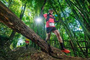 BIB: 296
                            <button type="button" onclick="openModal(19057046)" class="btn btn-primary btn-sm float-right btn-popup" data-toggle="modal" data-target=".modal-high-quality">
                        <i class="fas fa-shopping-cart"></i> Add to Cart
                    </button>
                                            <button type="button" onclick="isThisMe(19057046, true)" class="btn btn-success btn-sm float-right btn-popup btn-isme hidden" data-toggle="tooltip" data-placement="bottom" title="นี่คือรูปของคุณใช่ไหม คลิกที่นี่เพื่อเอาเข้าอัลบั้ม">
                        <i class="fas fa-plus"></i> Add to album
                    </button>
                    <button type="button" onclick="isThisMe(19057046, false)" class="btn btn-warning btn-sm float-right btn-popup btn-isnotme hidden">
                        <i class="fas fa-ban"></i> Remove from album
                    </button>