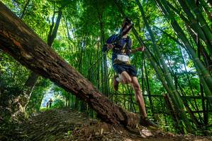 BIB: 
                            <button type="button" onclick="openModal(19067678)" class="btn btn-primary btn-sm float-right btn-popup" data-toggle="modal" data-target=".modal-high-quality">
                        <i class="fas fa-shopping-cart"></i> Add to Cart
                    </button>
                                            <button type="button" onclick="isThisMe(19067678, true)" class="btn btn-success btn-sm float-right btn-popup btn-isme hidden" data-toggle="tooltip" data-placement="bottom" title="นี่คือรูปของคุณใช่ไหม คลิกที่นี่เพื่อเอาเข้าอัลบั้ม">
                        <i class="fas fa-plus"></i> Add to album
                    </button>
                    <button type="button" onclick="isThisMe(19067678, false)" class="btn btn-warning btn-sm float-right btn-popup btn-isnotme hidden">
                        <i class="fas fa-ban"></i> Remove from album
                    </button>