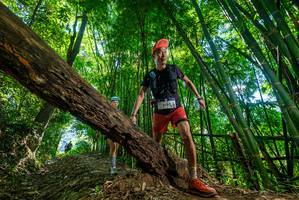 BIB: 2699
                            <button type="button" onclick="openModal(19067911)" class="btn btn-primary btn-sm float-right btn-popup" data-toggle="modal" data-target=".modal-high-quality">
                        <i class="fas fa-shopping-cart"></i> Add to Cart
                    </button>
                                            <button type="button" onclick="isThisMe(19067911, true)" class="btn btn-success btn-sm float-right btn-popup btn-isme hidden" data-toggle="tooltip" data-placement="bottom" title="นี่คือรูปของคุณใช่ไหม คลิกที่นี่เพื่อเอาเข้าอัลบั้ม">
                        <i class="fas fa-plus"></i> Add to album
                    </button>
                    <button type="button" onclick="isThisMe(19067911, false)" class="btn btn-warning btn-sm float-right btn-popup btn-isnotme hidden">
                        <i class="fas fa-ban"></i> Remove from album
                    </button>