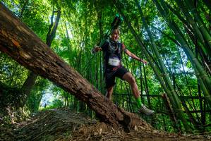 BIB: 2747
                            <button type="button" onclick="openModal(19055331)" class="btn btn-primary btn-sm float-right btn-popup" data-toggle="modal" data-target=".modal-high-quality">
                        <i class="fas fa-shopping-cart"></i> Add to Cart
                    </button>
                                            <button type="button" onclick="isThisMe(19055331, true)" class="btn btn-success btn-sm float-right btn-popup btn-isme hidden" data-toggle="tooltip" data-placement="bottom" title="นี่คือรูปของคุณใช่ไหม คลิกที่นี่เพื่อเอาเข้าอัลบั้ม">
                        <i class="fas fa-plus"></i> Add to album
                    </button>
                    <button type="button" onclick="isThisMe(19055331, false)" class="btn btn-warning btn-sm float-right btn-popup btn-isnotme hidden">
                        <i class="fas fa-ban"></i> Remove from album
                    </button>