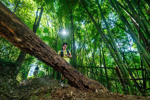 BIB: 
                            <button type="button" onclick="openModal(19057622)" class="btn btn-primary btn-sm float-right btn-popup" data-toggle="modal" data-target=".modal-high-quality">
                        <i class="fas fa-shopping-cart"></i> Add to Cart
                    </button>
                                            <button type="button" onclick="isThisMe(19057622, true)" class="btn btn-success btn-sm float-right btn-popup btn-isme hidden" data-toggle="tooltip" data-placement="bottom" title="นี่คือรูปของคุณใช่ไหม คลิกที่นี่เพื่อเอาเข้าอัลบั้ม">
                        <i class="fas fa-plus"></i> Add to album
                    </button>
                    <button type="button" onclick="isThisMe(19057622, false)" class="btn btn-warning btn-sm float-right btn-popup btn-isnotme hidden">
                        <i class="fas fa-ban"></i> Remove from album
                    </button>