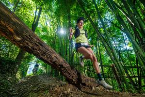 BIB: 
                            <button type="button" onclick="openModal(19057652)" class="btn btn-primary btn-sm float-right btn-popup" data-toggle="modal" data-target=".modal-high-quality">
                        <i class="fas fa-shopping-cart"></i> Add to Cart
                    </button>
                                            <button type="button" onclick="isThisMe(19057652, true)" class="btn btn-success btn-sm float-right btn-popup btn-isme hidden" data-toggle="tooltip" data-placement="bottom" title="นี่คือรูปของคุณใช่ไหม คลิกที่นี่เพื่อเอาเข้าอัลบั้ม">
                        <i class="fas fa-plus"></i> Add to album
                    </button>
                    <button type="button" onclick="isThisMe(19057652, false)" class="btn btn-warning btn-sm float-right btn-popup btn-isnotme hidden">
                        <i class="fas fa-ban"></i> Remove from album
                    </button>