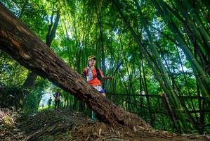 BIB: 
                            <button type="button" onclick="openModal(18999831)" class="btn btn-primary btn-sm float-right btn-popup" data-toggle="modal" data-target=".modal-high-quality">
                        <i class="fas fa-shopping-cart"></i> Add to Cart
                    </button>
                                            <button type="button" onclick="isThisMe(18999831, true)" class="btn btn-success btn-sm float-right btn-popup btn-isme hidden" data-toggle="tooltip" data-placement="bottom" title="นี่คือรูปของคุณใช่ไหม คลิกที่นี่เพื่อเอาเข้าอัลบั้ม">
                        <i class="fas fa-plus"></i> Add to album
                    </button>
                    <button type="button" onclick="isThisMe(18999831, false)" class="btn btn-warning btn-sm float-right btn-popup btn-isnotme hidden">
                        <i class="fas fa-ban"></i> Remove from album
                    </button>