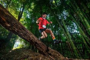 BIB: 
                            <button type="button" onclick="openModal(18987592)" class="btn btn-primary btn-sm float-right btn-popup" data-toggle="modal" data-target=".modal-high-quality">
                        <i class="fas fa-shopping-cart"></i> Add to Cart
                    </button>
                                            <button type="button" onclick="isThisMe(18987592, true)" class="btn btn-success btn-sm float-right btn-popup btn-isme hidden" data-toggle="tooltip" data-placement="bottom" title="นี่คือรูปของคุณใช่ไหม คลิกที่นี่เพื่อเอาเข้าอัลบั้ม">
                        <i class="fas fa-plus"></i> Add to album
                    </button>
                    <button type="button" onclick="isThisMe(18987592, false)" class="btn btn-warning btn-sm float-right btn-popup btn-isnotme hidden">
                        <i class="fas fa-ban"></i> Remove from album
                    </button>