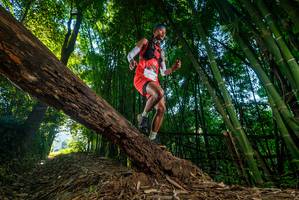 BIB: 
                            <button type="button" onclick="openModal(18987641)" class="btn btn-primary btn-sm float-right btn-popup" data-toggle="modal" data-target=".modal-high-quality">
                        <i class="fas fa-shopping-cart"></i> Add to Cart
                    </button>
                                            <button type="button" onclick="isThisMe(18987641, true)" class="btn btn-success btn-sm float-right btn-popup btn-isme hidden" data-toggle="tooltip" data-placement="bottom" title="นี่คือรูปของคุณใช่ไหม คลิกที่นี่เพื่อเอาเข้าอัลบั้ม">
                        <i class="fas fa-plus"></i> Add to album
                    </button>
                    <button type="button" onclick="isThisMe(18987641, false)" class="btn btn-warning btn-sm float-right btn-popup btn-isnotme hidden">
                        <i class="fas fa-ban"></i> Remove from album
                    </button>