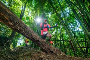 BIB: 2948
                            <button type="button" onclick="openModal(19057037)" class="btn btn-primary btn-sm float-right btn-popup" data-toggle="modal" data-target=".modal-high-quality">
                        <i class="fas fa-shopping-cart"></i> Add to Cart
                    </button>
                                            <button type="button" onclick="isThisMe(19057037, true)" class="btn btn-success btn-sm float-right btn-popup btn-isme hidden" data-toggle="tooltip" data-placement="bottom" title="นี่คือรูปของคุณใช่ไหม คลิกที่นี่เพื่อเอาเข้าอัลบั้ม">
                        <i class="fas fa-plus"></i> Add to album
                    </button>
                    <button type="button" onclick="isThisMe(19057037, false)" class="btn btn-warning btn-sm float-right btn-popup btn-isnotme hidden">
                        <i class="fas fa-ban"></i> Remove from album
                    </button>