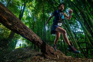 BIB: 336
                            <button type="button" onclick="openModal(18988504)" class="btn btn-primary btn-sm float-right btn-popup" data-toggle="modal" data-target=".modal-high-quality">
                        <i class="fas fa-shopping-cart"></i> Add to Cart
                    </button>
                                            <button type="button" onclick="isThisMe(18988504, true)" class="btn btn-success btn-sm float-right btn-popup btn-isme hidden" data-toggle="tooltip" data-placement="bottom" title="นี่คือรูปของคุณใช่ไหม คลิกที่นี่เพื่อเอาเข้าอัลบั้ม">
                        <i class="fas fa-plus"></i> Add to album
                    </button>
                    <button type="button" onclick="isThisMe(18988504, false)" class="btn btn-warning btn-sm float-right btn-popup btn-isnotme hidden">
                        <i class="fas fa-ban"></i> Remove from album
                    </button>