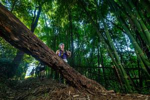 BIB: 
                            <button type="button" onclick="openModal(18994176)" class="btn btn-primary btn-sm float-right btn-popup" data-toggle="modal" data-target=".modal-high-quality">
                        <i class="fas fa-shopping-cart"></i> Add to Cart
                    </button>
                                            <button type="button" onclick="isThisMe(18994176, true)" class="btn btn-success btn-sm float-right btn-popup btn-isme hidden" data-toggle="tooltip" data-placement="bottom" title="นี่คือรูปของคุณใช่ไหม คลิกที่นี่เพื่อเอาเข้าอัลบั้ม">
                        <i class="fas fa-plus"></i> Add to album
                    </button>
                    <button type="button" onclick="isThisMe(18994176, false)" class="btn btn-warning btn-sm float-right btn-popup btn-isnotme hidden">
                        <i class="fas fa-ban"></i> Remove from album
                    </button>