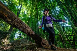 BIB: 3245, 
                            <button type="button" onclick="openModal(19002266)" class="btn btn-primary btn-sm float-right btn-popup" data-toggle="modal" data-target=".modal-high-quality">
                        <i class="fas fa-shopping-cart"></i> Add to Cart
                    </button>
                                            <button type="button" onclick="isThisMe(19002266, true)" class="btn btn-success btn-sm float-right btn-popup btn-isme hidden" data-toggle="tooltip" data-placement="bottom" title="นี่คือรูปของคุณใช่ไหม คลิกที่นี่เพื่อเอาเข้าอัลบั้ม">
                        <i class="fas fa-plus"></i> Add to album
                    </button>
                    <button type="button" onclick="isThisMe(19002266, false)" class="btn btn-warning btn-sm float-right btn-popup btn-isnotme hidden">
                        <i class="fas fa-ban"></i> Remove from album
                    </button>