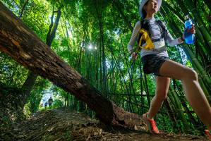 BIB: 
                            <button type="button" onclick="openModal(19056312)" class="btn btn-primary btn-sm float-right btn-popup" data-toggle="modal" data-target=".modal-high-quality">
                        <i class="fas fa-shopping-cart"></i> Add to Cart
                    </button>
                                            <button type="button" onclick="isThisMe(19056312, true)" class="btn btn-success btn-sm float-right btn-popup btn-isme hidden" data-toggle="tooltip" data-placement="bottom" title="นี่คือรูปของคุณใช่ไหม คลิกที่นี่เพื่อเอาเข้าอัลบั้ม">
                        <i class="fas fa-plus"></i> Add to album
                    </button>
                    <button type="button" onclick="isThisMe(19056312, false)" class="btn btn-warning btn-sm float-right btn-popup btn-isnotme hidden">
                        <i class="fas fa-ban"></i> Remove from album
                    </button>