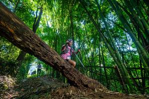 BIB: 
                            <button type="button" onclick="openModal(19001182)" class="btn btn-primary btn-sm float-right btn-popup" data-toggle="modal" data-target=".modal-high-quality">
                        <i class="fas fa-shopping-cart"></i> Add to Cart
                    </button>
                                            <button type="button" onclick="isThisMe(19001182, true)" class="btn btn-success btn-sm float-right btn-popup btn-isme hidden" data-toggle="tooltip" data-placement="bottom" title="นี่คือรูปของคุณใช่ไหม คลิกที่นี่เพื่อเอาเข้าอัลบั้ม">
                        <i class="fas fa-plus"></i> Add to album
                    </button>
                    <button type="button" onclick="isThisMe(19001182, false)" class="btn btn-warning btn-sm float-right btn-popup btn-isnotme hidden">
                        <i class="fas fa-ban"></i> Remove from album
                    </button>