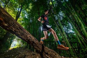 BIB: 
                            <button type="button" onclick="openModal(18987234)" class="btn btn-primary btn-sm float-right btn-popup" data-toggle="modal" data-target=".modal-high-quality">
                        <i class="fas fa-shopping-cart"></i> Add to Cart
                    </button>
                                            <button type="button" onclick="isThisMe(18987234, true)" class="btn btn-success btn-sm float-right btn-popup btn-isme hidden" data-toggle="tooltip" data-placement="bottom" title="นี่คือรูปของคุณใช่ไหม คลิกที่นี่เพื่อเอาเข้าอัลบั้ม">
                        <i class="fas fa-plus"></i> Add to album
                    </button>
                    <button type="button" onclick="isThisMe(18987234, false)" class="btn btn-warning btn-sm float-right btn-popup btn-isnotme hidden">
                        <i class="fas fa-ban"></i> Remove from album
                    </button>