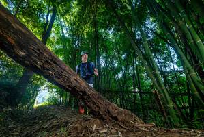 BIB: 
                            <button type="button" onclick="openModal(18992978)" class="btn btn-primary btn-sm float-right btn-popup" data-toggle="modal" data-target=".modal-high-quality">
                        <i class="fas fa-shopping-cart"></i> Add to Cart
                    </button>
                                            <button type="button" onclick="isThisMe(18992978, true)" class="btn btn-success btn-sm float-right btn-popup btn-isme hidden" data-toggle="tooltip" data-placement="bottom" title="นี่คือรูปของคุณใช่ไหม คลิกที่นี่เพื่อเอาเข้าอัลบั้ม">
                        <i class="fas fa-plus"></i> Add to album
                    </button>
                    <button type="button" onclick="isThisMe(18992978, false)" class="btn btn-warning btn-sm float-right btn-popup btn-isnotme hidden">
                        <i class="fas fa-ban"></i> Remove from album
                    </button>