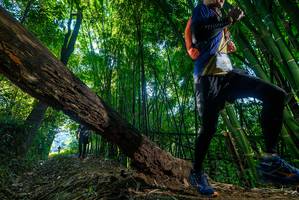 BIB: 300
                            <button type="button" onclick="openModal(18999860)" class="btn btn-primary btn-sm float-right btn-popup" data-toggle="modal" data-target=".modal-high-quality">
                        <i class="fas fa-shopping-cart"></i> Add to Cart
                    </button>
                                            <button type="button" onclick="isThisMe(18999860, true)" class="btn btn-success btn-sm float-right btn-popup btn-isme hidden" data-toggle="tooltip" data-placement="bottom" title="นี่คือรูปของคุณใช่ไหม คลิกที่นี่เพื่อเอาเข้าอัลบั้ม">
                        <i class="fas fa-plus"></i> Add to album
                    </button>
                    <button type="button" onclick="isThisMe(18999860, false)" class="btn btn-warning btn-sm float-right btn-popup btn-isnotme hidden">
                        <i class="fas fa-ban"></i> Remove from album
                    </button>