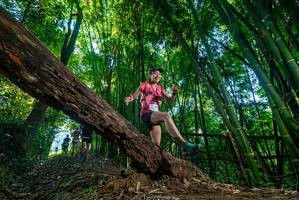 BIB: 
                            <button type="button" onclick="openModal(18989292)" class="btn btn-primary btn-sm float-right btn-popup" data-toggle="modal" data-target=".modal-high-quality">
                        <i class="fas fa-shopping-cart"></i> Add to Cart
                    </button>
                                            <button type="button" onclick="isThisMe(18989292, true)" class="btn btn-success btn-sm float-right btn-popup btn-isme hidden" data-toggle="tooltip" data-placement="bottom" title="นี่คือรูปของคุณใช่ไหม คลิกที่นี่เพื่อเอาเข้าอัลบั้ม">
                        <i class="fas fa-plus"></i> Add to album
                    </button>
                    <button type="button" onclick="isThisMe(18989292, false)" class="btn btn-warning btn-sm float-right btn-popup btn-isnotme hidden">
                        <i class="fas fa-ban"></i> Remove from album
                    </button>