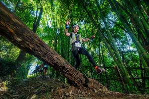 BIB: 
                            <button type="button" onclick="openModal(18997679)" class="btn btn-primary btn-sm float-right btn-popup" data-toggle="modal" data-target=".modal-high-quality">
                        <i class="fas fa-shopping-cart"></i> Add to Cart
                    </button>
                                            <button type="button" onclick="isThisMe(18997679, true)" class="btn btn-success btn-sm float-right btn-popup btn-isme hidden" data-toggle="tooltip" data-placement="bottom" title="นี่คือรูปของคุณใช่ไหม คลิกที่นี่เพื่อเอาเข้าอัลบั้ม">
                        <i class="fas fa-plus"></i> Add to album
                    </button>
                    <button type="button" onclick="isThisMe(18997679, false)" class="btn btn-warning btn-sm float-right btn-popup btn-isnotme hidden">
                        <i class="fas fa-ban"></i> Remove from album
                    </button>