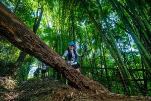 BIB: 
                            <button type="button" onclick="openModal(19001495)" class="btn btn-primary btn-sm float-right btn-popup" data-toggle="modal" data-target=".modal-high-quality">
                        <i class="fas fa-shopping-cart"></i> Add to Cart
                    </button>
                                            <button type="button" onclick="isThisMe(19001495, true)" class="btn btn-success btn-sm float-right btn-popup btn-isme hidden" data-toggle="tooltip" data-placement="bottom" title="นี่คือรูปของคุณใช่ไหม คลิกที่นี่เพื่อเอาเข้าอัลบั้ม">
                        <i class="fas fa-plus"></i> Add to album
                    </button>
                    <button type="button" onclick="isThisMe(19001495, false)" class="btn btn-warning btn-sm float-right btn-popup btn-isnotme hidden">
                        <i class="fas fa-ban"></i> Remove from album
                    </button>