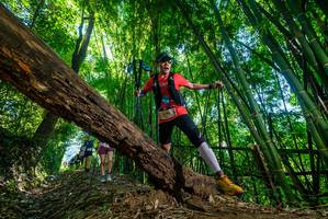 BIB: 
                            <button type="button" onclick="openModal(19055439)" class="btn btn-primary btn-sm float-right btn-popup" data-toggle="modal" data-target=".modal-high-quality">
                        <i class="fas fa-shopping-cart"></i> Add to Cart
                    </button>
                                            <button type="button" onclick="isThisMe(19055439, true)" class="btn btn-success btn-sm float-right btn-popup btn-isme hidden" data-toggle="tooltip" data-placement="bottom" title="นี่คือรูปของคุณใช่ไหม คลิกที่นี่เพื่อเอาเข้าอัลบั้ม">
                        <i class="fas fa-plus"></i> Add to album
                    </button>
                    <button type="button" onclick="isThisMe(19055439, false)" class="btn btn-warning btn-sm float-right btn-popup btn-isnotme hidden">
                        <i class="fas fa-ban"></i> Remove from album
                    </button>