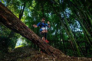 BIB: 
                            <button type="button" onclick="openModal(18990012)" class="btn btn-primary btn-sm float-right btn-popup" data-toggle="modal" data-target=".modal-high-quality">
                        <i class="fas fa-shopping-cart"></i> Add to Cart
                    </button>
                                            <button type="button" onclick="isThisMe(18990012, true)" class="btn btn-success btn-sm float-right btn-popup btn-isme hidden" data-toggle="tooltip" data-placement="bottom" title="นี่คือรูปของคุณใช่ไหม คลิกที่นี่เพื่อเอาเข้าอัลบั้ม">
                        <i class="fas fa-plus"></i> Add to album
                    </button>
                    <button type="button" onclick="isThisMe(18990012, false)" class="btn btn-warning btn-sm float-right btn-popup btn-isnotme hidden">
                        <i class="fas fa-ban"></i> Remove from album
                    </button>