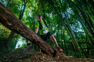 BIB: 2120
                            <button type="button" onclick="openModal(18995150)" class="btn btn-primary btn-sm float-right btn-popup" data-toggle="modal" data-target=".modal-high-quality">
                        <i class="fas fa-shopping-cart"></i> Add to Cart
                    </button>
                                            <button type="button" onclick="isThisMe(18995150, true)" class="btn btn-success btn-sm float-right btn-popup btn-isme hidden" data-toggle="tooltip" data-placement="bottom" title="นี่คือรูปของคุณใช่ไหม คลิกที่นี่เพื่อเอาเข้าอัลบั้ม">
                        <i class="fas fa-plus"></i> Add to album
                    </button>
                    <button type="button" onclick="isThisMe(18995150, false)" class="btn btn-warning btn-sm float-right btn-popup btn-isnotme hidden">
                        <i class="fas fa-ban"></i> Remove from album
                    </button>