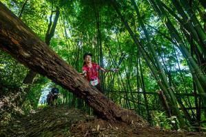 BIB: 
                            <button type="button" onclick="openModal(19065627)" class="btn btn-primary btn-sm float-right btn-popup" data-toggle="modal" data-target=".modal-high-quality">
                        <i class="fas fa-shopping-cart"></i> Add to Cart
                    </button>
                                            <button type="button" onclick="isThisMe(19065627, true)" class="btn btn-success btn-sm float-right btn-popup btn-isme hidden" data-toggle="tooltip" data-placement="bottom" title="นี่คือรูปของคุณใช่ไหม คลิกที่นี่เพื่อเอาเข้าอัลบั้ม">
                        <i class="fas fa-plus"></i> Add to album
                    </button>
                    <button type="button" onclick="isThisMe(19065627, false)" class="btn btn-warning btn-sm float-right btn-popup btn-isnotme hidden">
                        <i class="fas fa-ban"></i> Remove from album
                    </button>