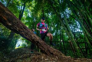 BIB: 
                            <button type="button" onclick="openModal(18997040)" class="btn btn-primary btn-sm float-right btn-popup" data-toggle="modal" data-target=".modal-high-quality">
                        <i class="fas fa-shopping-cart"></i> Add to Cart
                    </button>
                                            <button type="button" onclick="isThisMe(18997040, true)" class="btn btn-success btn-sm float-right btn-popup btn-isme hidden" data-toggle="tooltip" data-placement="bottom" title="นี่คือรูปของคุณใช่ไหม คลิกที่นี่เพื่อเอาเข้าอัลบั้ม">
                        <i class="fas fa-plus"></i> Add to album
                    </button>
                    <button type="button" onclick="isThisMe(18997040, false)" class="btn btn-warning btn-sm float-right btn-popup btn-isnotme hidden">
                        <i class="fas fa-ban"></i> Remove from album
                    </button>