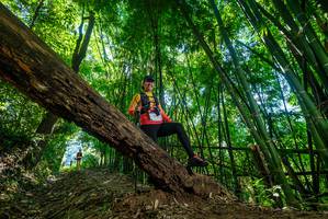 BIB: 
                            <button type="button" onclick="openModal(19065513)" class="btn btn-primary btn-sm float-right btn-popup" data-toggle="modal" data-target=".modal-high-quality">
                        <i class="fas fa-shopping-cart"></i> Add to Cart
                    </button>
                                            <button type="button" onclick="isThisMe(19065513, true)" class="btn btn-success btn-sm float-right btn-popup btn-isme hidden" data-toggle="tooltip" data-placement="bottom" title="นี่คือรูปของคุณใช่ไหม คลิกที่นี่เพื่อเอาเข้าอัลบั้ม">
                        <i class="fas fa-plus"></i> Add to album
                    </button>
                    <button type="button" onclick="isThisMe(19065513, false)" class="btn btn-warning btn-sm float-right btn-popup btn-isnotme hidden">
                        <i class="fas fa-ban"></i> Remove from album
                    </button>