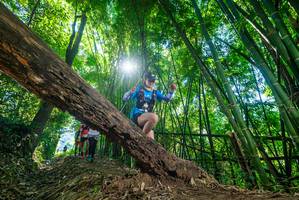 BIB: 
                            <button type="button" onclick="openModal(19056933)" class="btn btn-primary btn-sm float-right btn-popup" data-toggle="modal" data-target=".modal-high-quality">
                        <i class="fas fa-shopping-cart"></i> Add to Cart
                    </button>
                                            <button type="button" onclick="isThisMe(19056933, true)" class="btn btn-success btn-sm float-right btn-popup btn-isme hidden" data-toggle="tooltip" data-placement="bottom" title="นี่คือรูปของคุณใช่ไหม คลิกที่นี่เพื่อเอาเข้าอัลบั้ม">
                        <i class="fas fa-plus"></i> Add to album
                    </button>
                    <button type="button" onclick="isThisMe(19056933, false)" class="btn btn-warning btn-sm float-right btn-popup btn-isnotme hidden">
                        <i class="fas fa-ban"></i> Remove from album
                    </button>