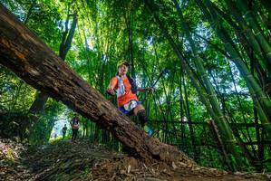 BIB: 
                            <button type="button" onclick="openModal(18999844)" class="btn btn-primary btn-sm float-right btn-popup" data-toggle="modal" data-target=".modal-high-quality">
                        <i class="fas fa-shopping-cart"></i> Add to Cart
                    </button>
                                            <button type="button" onclick="isThisMe(18999844, true)" class="btn btn-success btn-sm float-right btn-popup btn-isme hidden" data-toggle="tooltip" data-placement="bottom" title="นี่คือรูปของคุณใช่ไหม คลิกที่นี่เพื่อเอาเข้าอัลบั้ม">
                        <i class="fas fa-plus"></i> Add to album
                    </button>
                    <button type="button" onclick="isThisMe(18999844, false)" class="btn btn-warning btn-sm float-right btn-popup btn-isnotme hidden">
                        <i class="fas fa-ban"></i> Remove from album
                    </button>