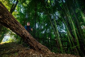 BIB: 
                            <button type="button" onclick="openModal(18987155)" class="btn btn-primary btn-sm float-right btn-popup" data-toggle="modal" data-target=".modal-high-quality">
                        <i class="fas fa-shopping-cart"></i> Add to Cart
                    </button>
                                            <button type="button" onclick="isThisMe(18987155, true)" class="btn btn-success btn-sm float-right btn-popup btn-isme hidden" data-toggle="tooltip" data-placement="bottom" title="นี่คือรูปของคุณใช่ไหม คลิกที่นี่เพื่อเอาเข้าอัลบั้ม">
                        <i class="fas fa-plus"></i> Add to album
                    </button>
                    <button type="button" onclick="isThisMe(18987155, false)" class="btn btn-warning btn-sm float-right btn-popup btn-isnotme hidden">
                        <i class="fas fa-ban"></i> Remove from album
                    </button>